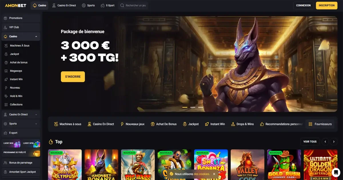 Banni&egrave;re AmonBet avec personnage style Anubis dans un temple &eacute;gyptien pour le bonus de bienvenue du casino