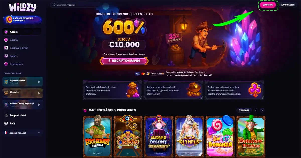 Bouton pour s'inscrire sur le casino en ligne Wildzy