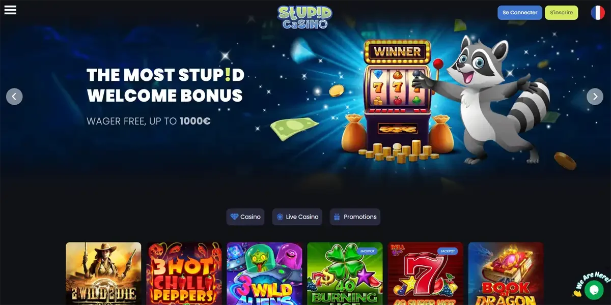 Page d&rsquo;accueil Stupid Casino avec bonus sans wager jusqu&rsquo;&agrave; 1000&euro;, machine &agrave; sous et mascotte raton laveur