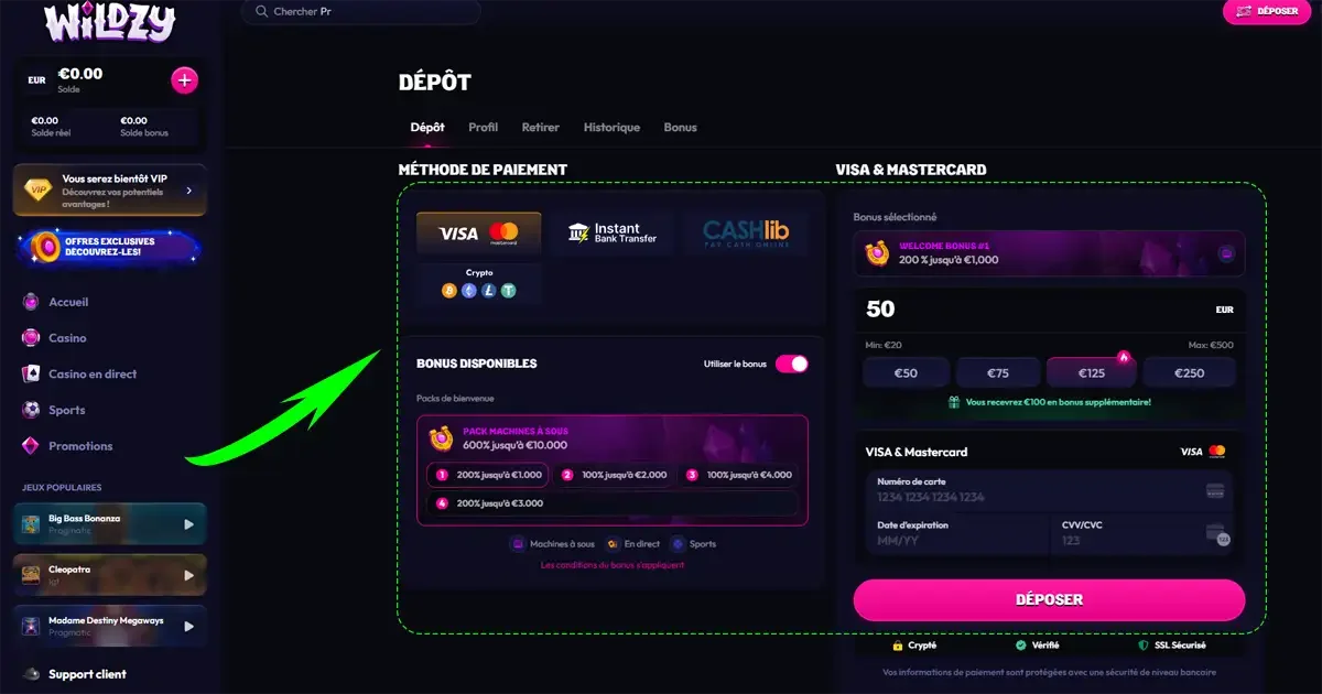 Page de d&eacute;p&ocirc;t Wildzy Casino affichant les m&eacute;thodes de paiement, les bonus disponibles et le formulaire Visa et Mastercard
